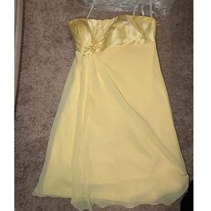 Davids Bridal Bridesmaids Dress
